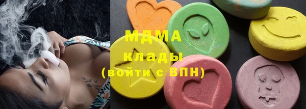 прущие грибы Михайлов