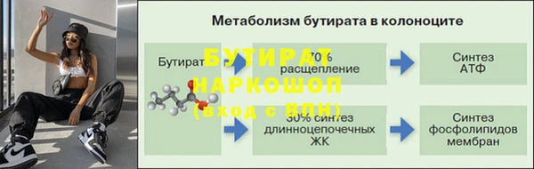 прущие грибы Михайлов