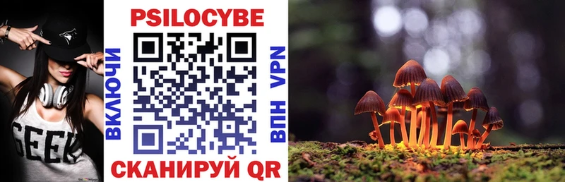 Псилоцибиновые грибы Psilocybe  Энгельс 