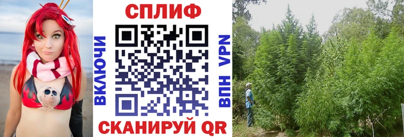 Конопля ГИДРОПОН  Энгельс 